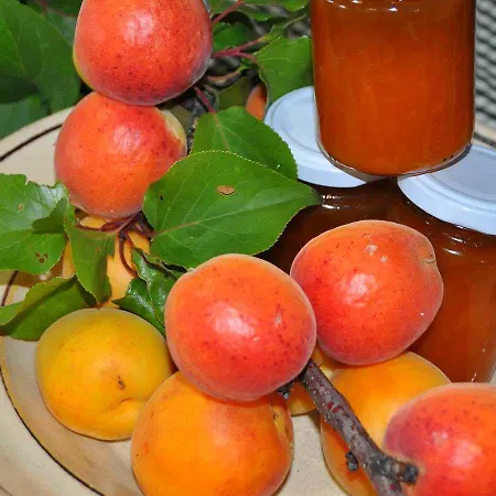 Il Terrazzo Sul Sinni מלון