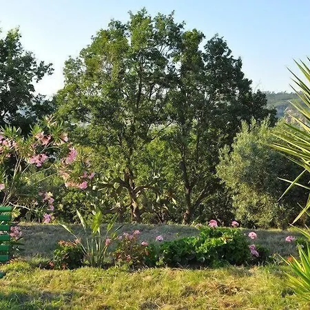 מלון Il Terrazzo Sul Sinni *