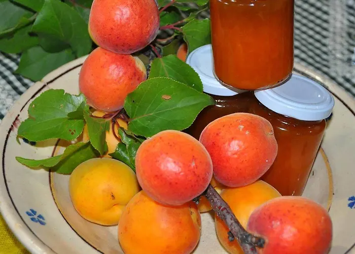 Il Terrazzo Sul Sinni Szálloda