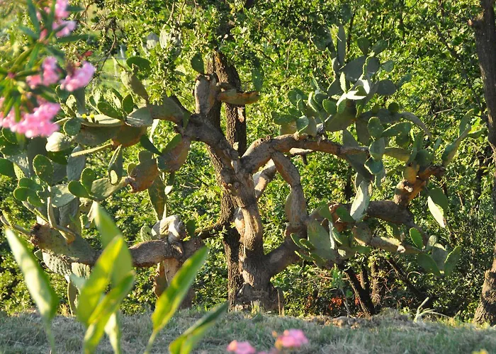 Il Terrazzo Sul Sinni Szálloda *